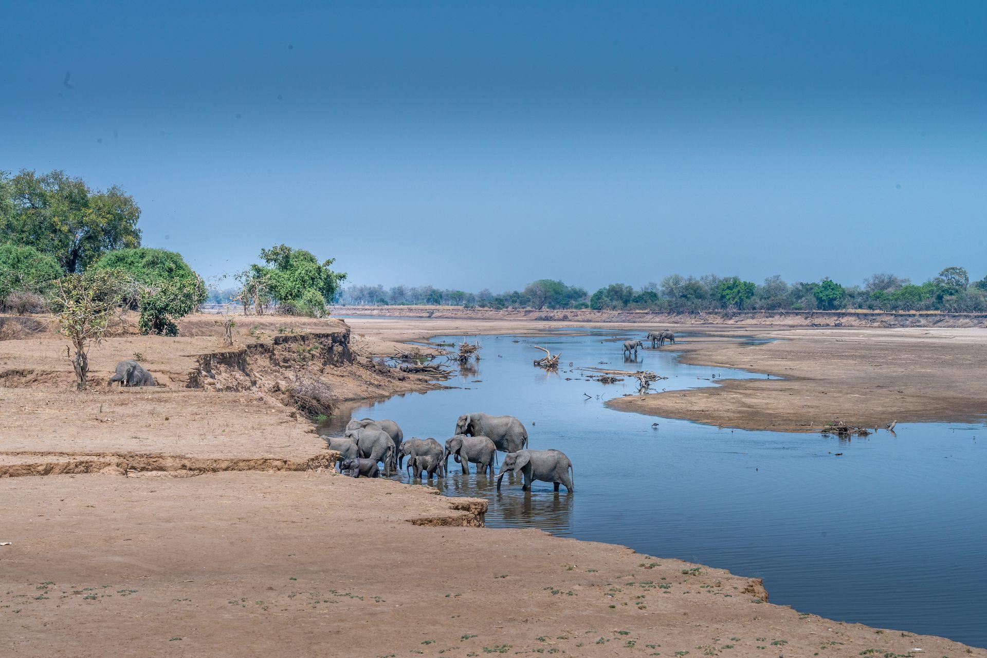 Sambia