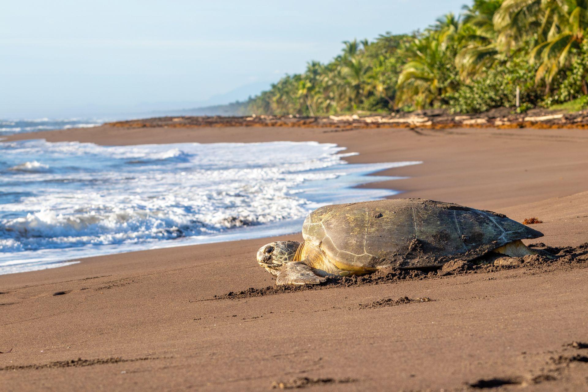 Costa Rica