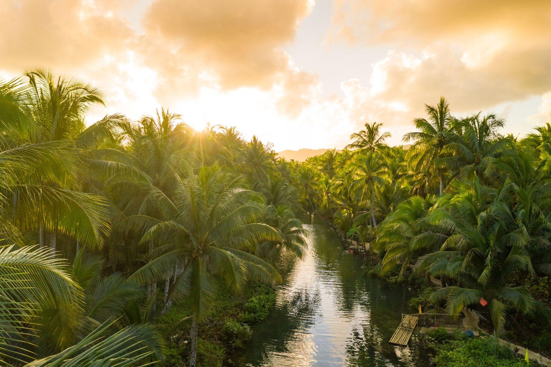 Suriname