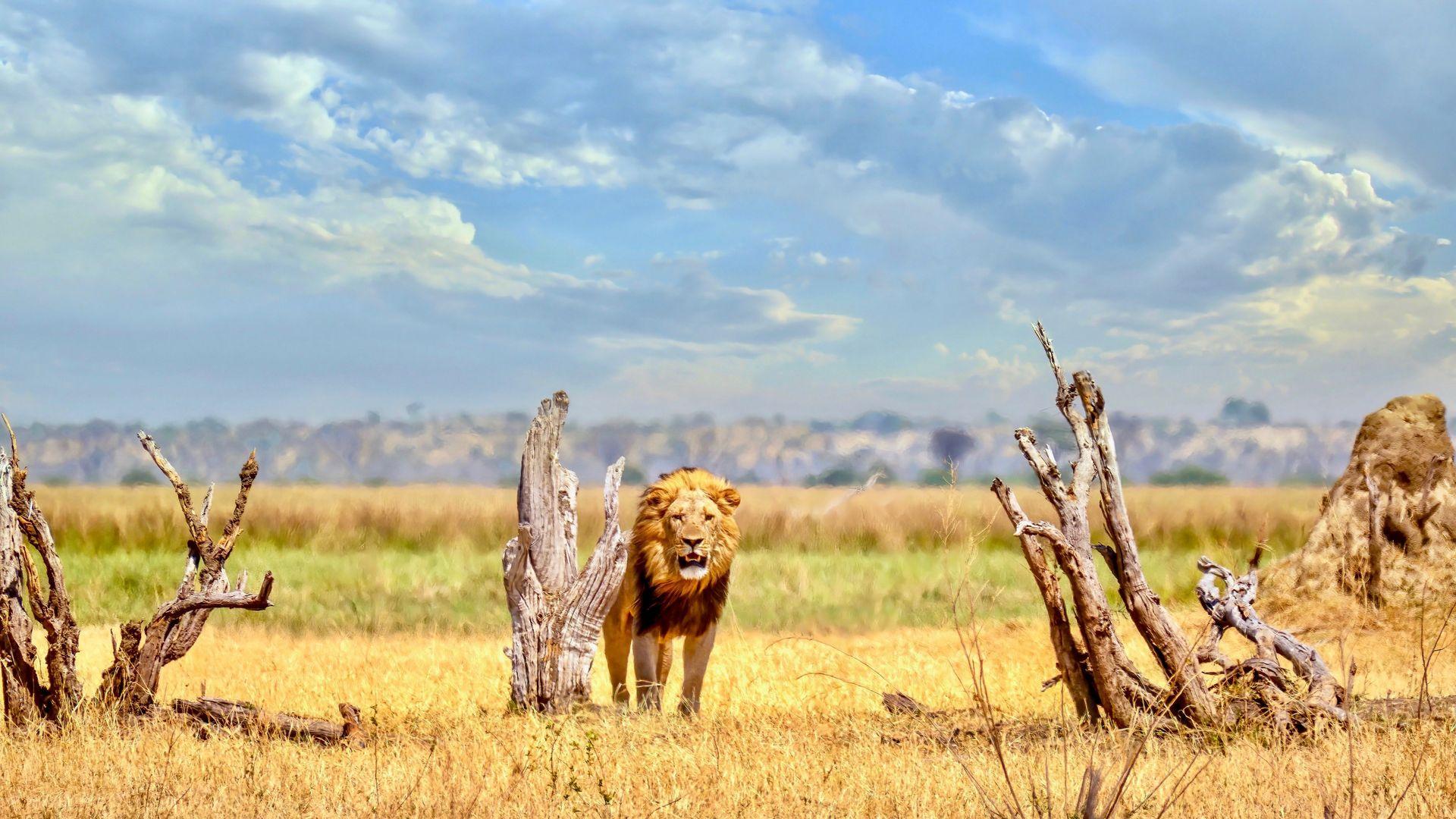 Botswana