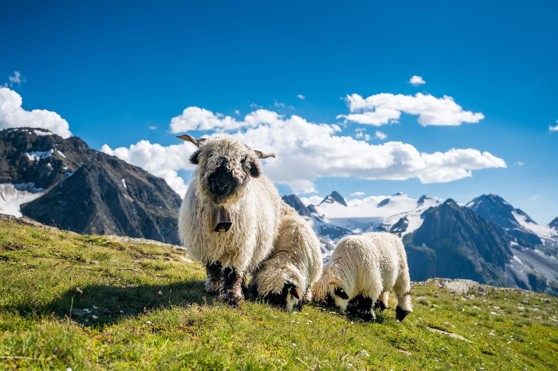 Schweiz