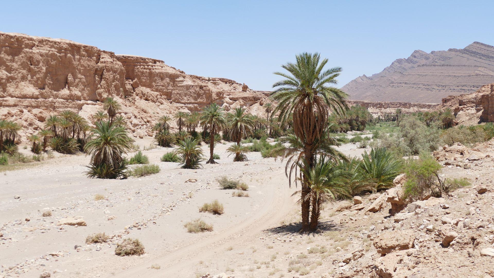 Westsahara