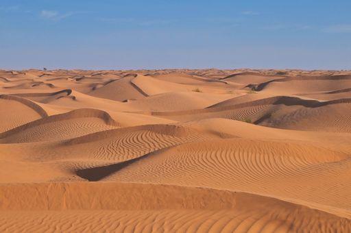 desert