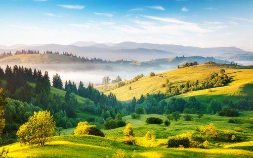 grassland